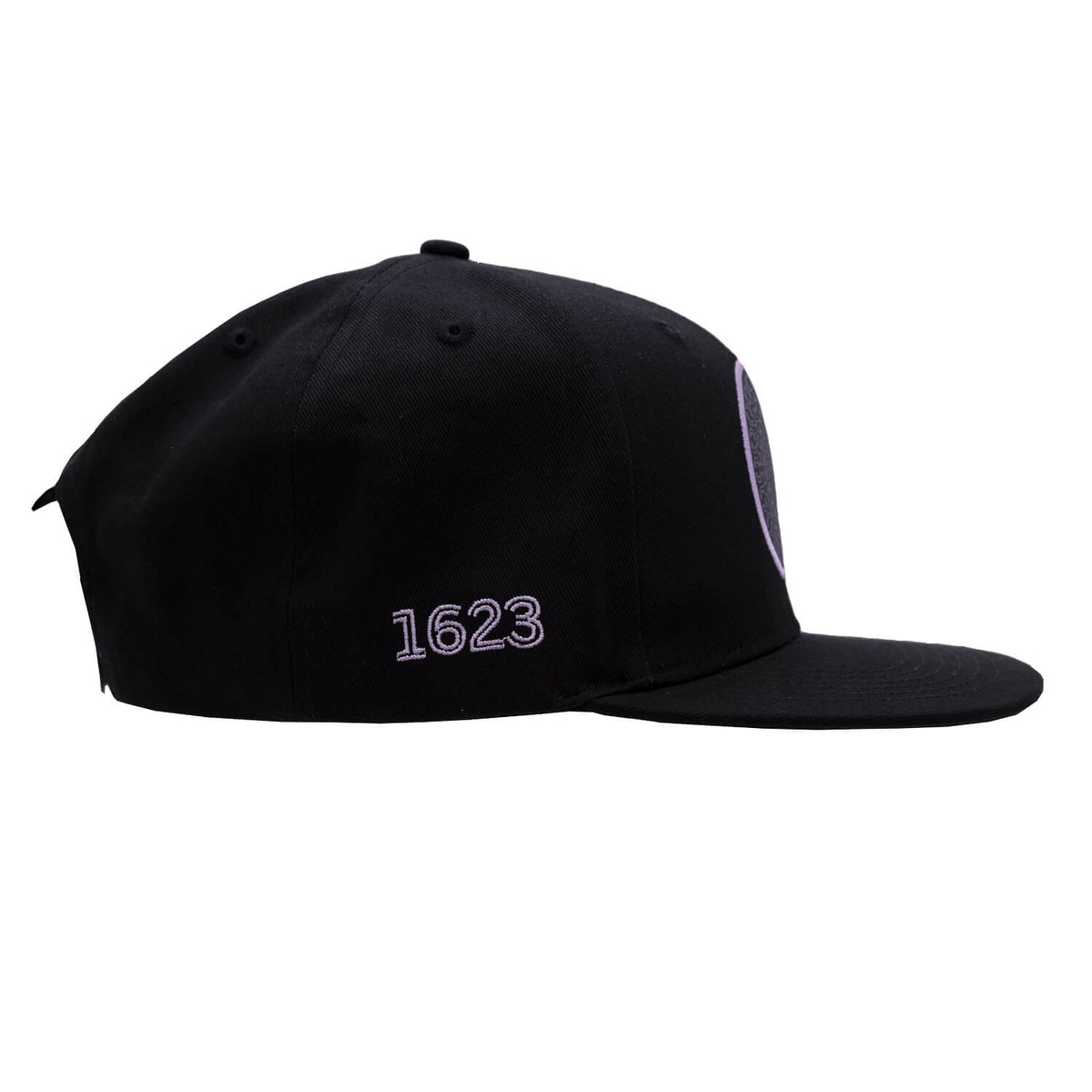 Alchemy Flat Bill Hat side on