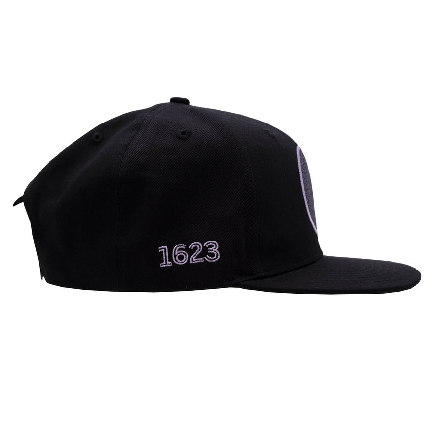 Alchemy Flat Bill Hat side on