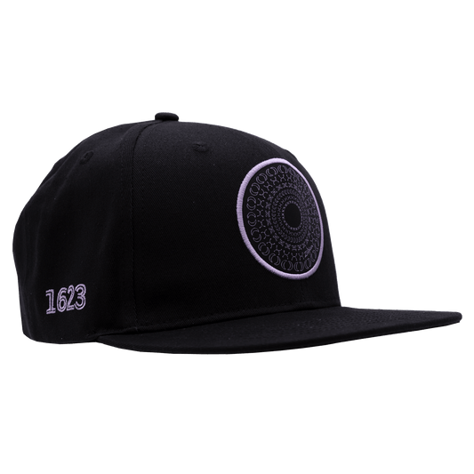 Alchemy Flat Bill Hat diagonally